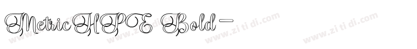 MetricHPE Bold字体转换